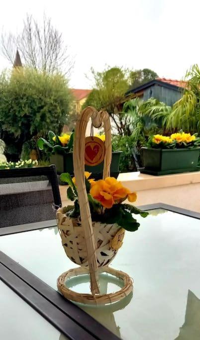Villa Ama Pordenone Zewnętrze zdjęcie