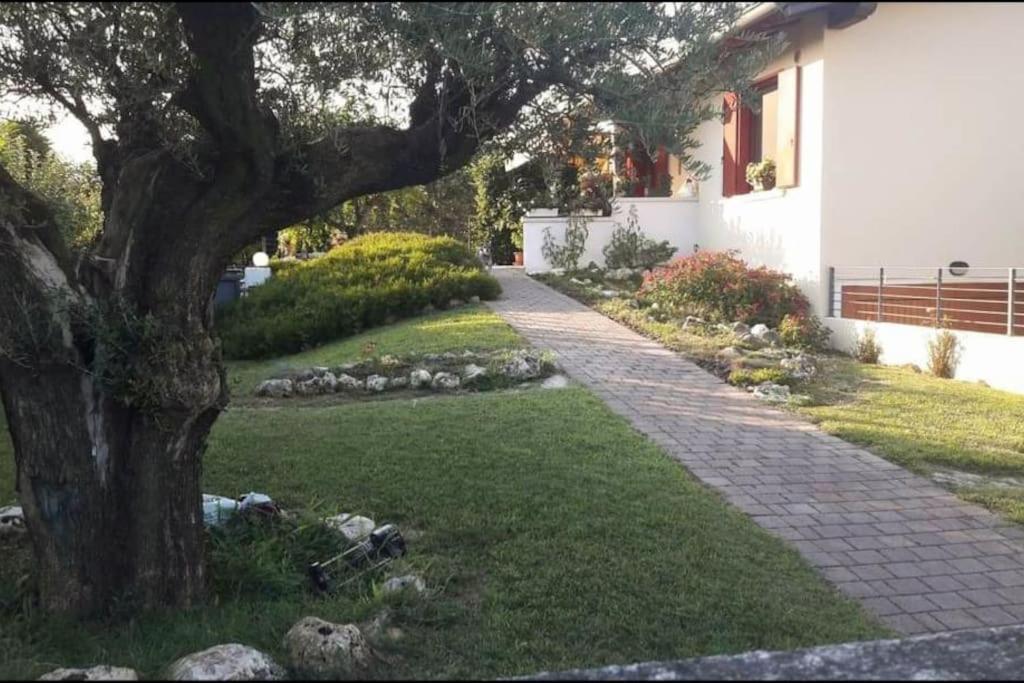 Villa Ama Pordenone Zewnętrze zdjęcie