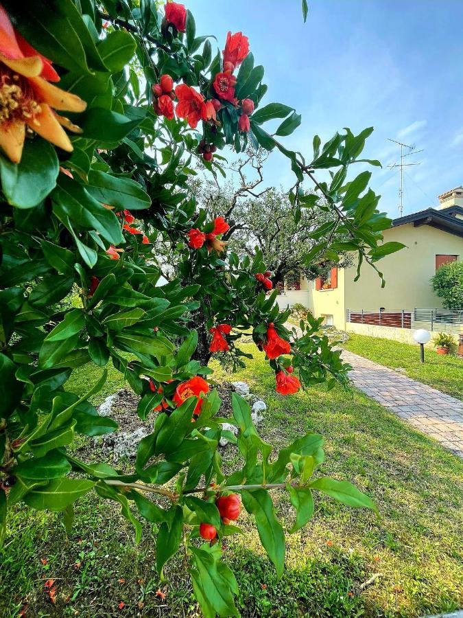 Villa Ama Pordenone Zewnętrze zdjęcie